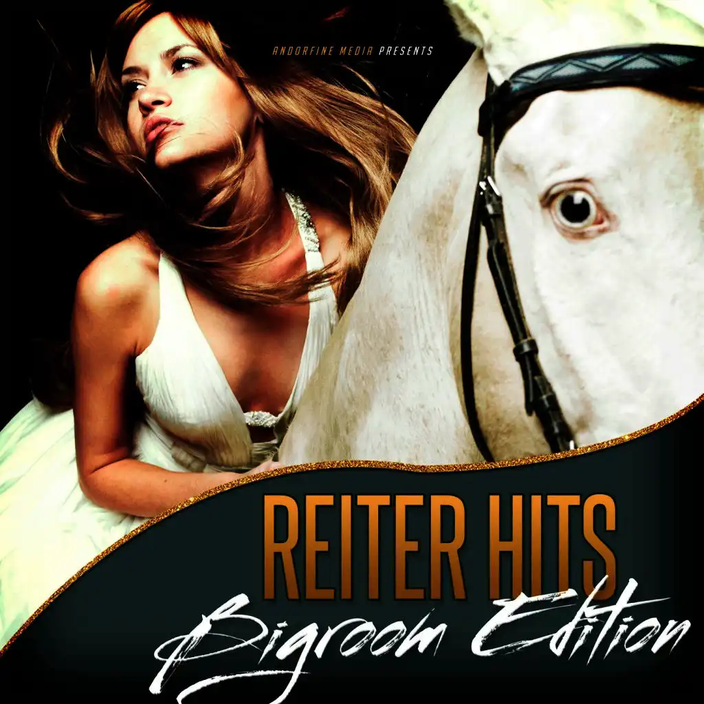 Reiter Hits - Bigroom Edition