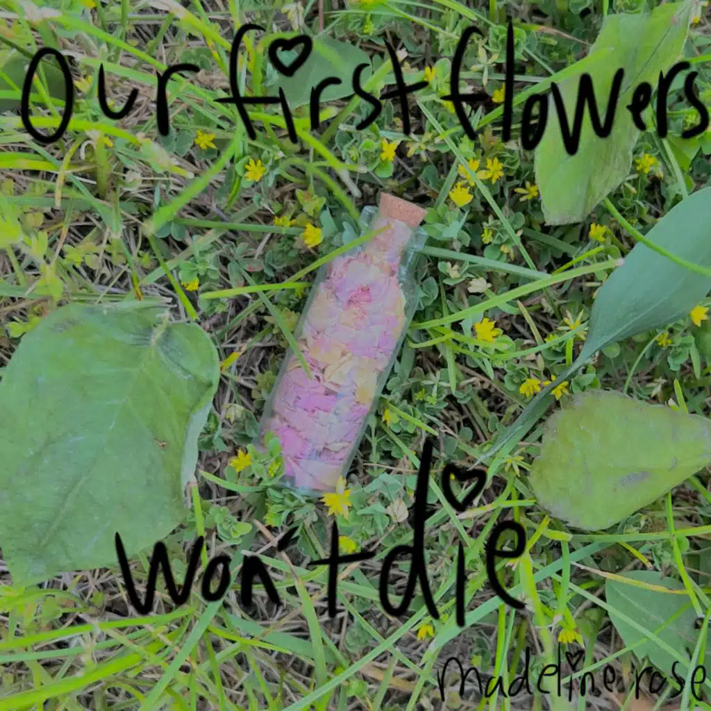 our first flowers won't die