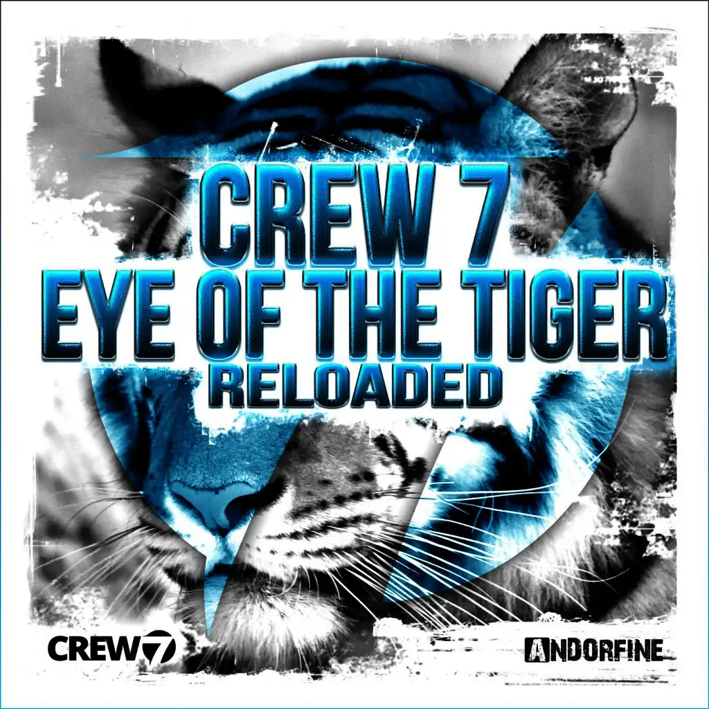 Eye of the Tiger (Moombahton Mix)