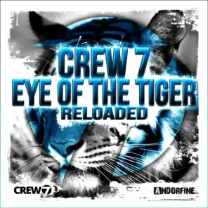 Eye of the Tiger (Moombahton Edit)