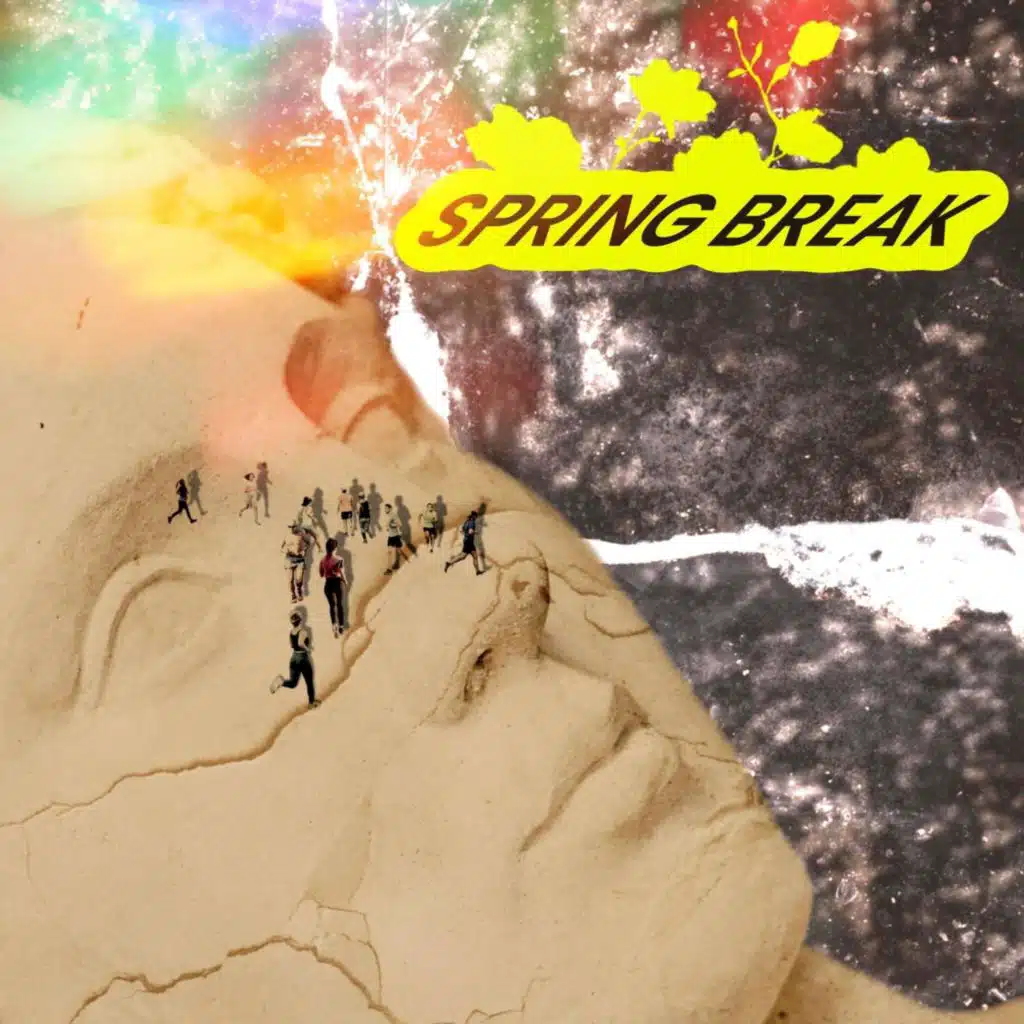 Hunting Down (the Birds)