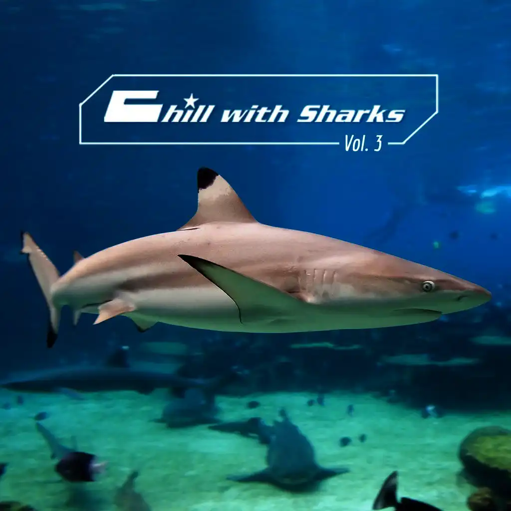 Chill with Sharks, Vol. 3