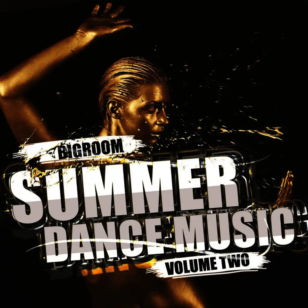 Bigroom Summer Dance Music, Vol. 2