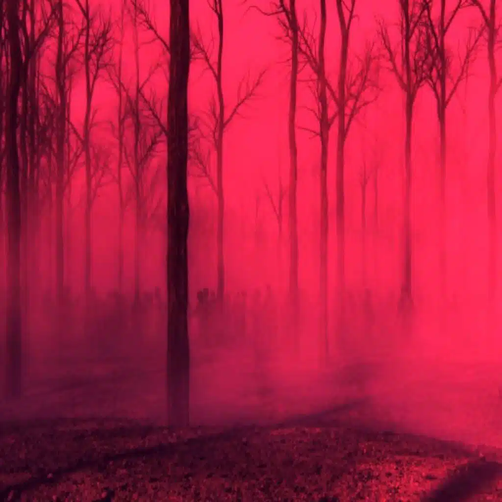 Dead Forest