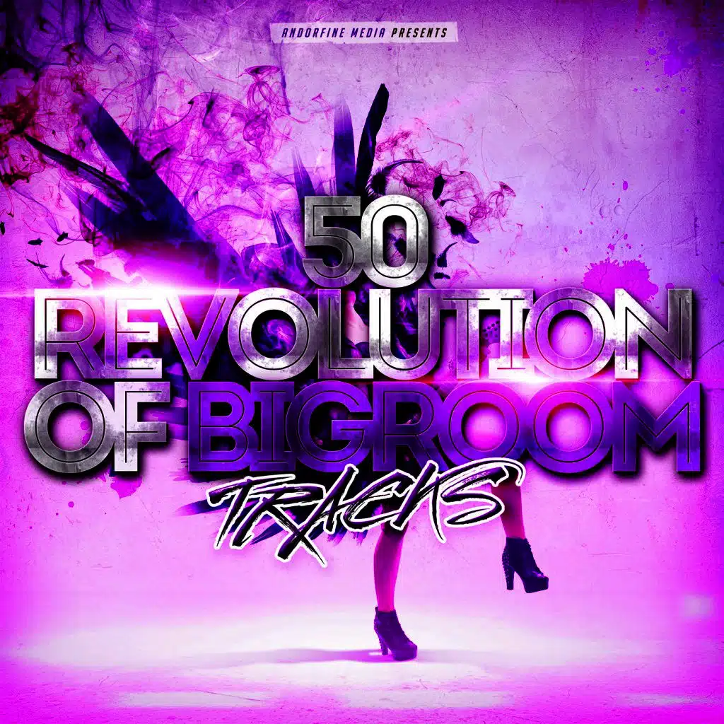 50 Revolution of Bigroom Tracks
