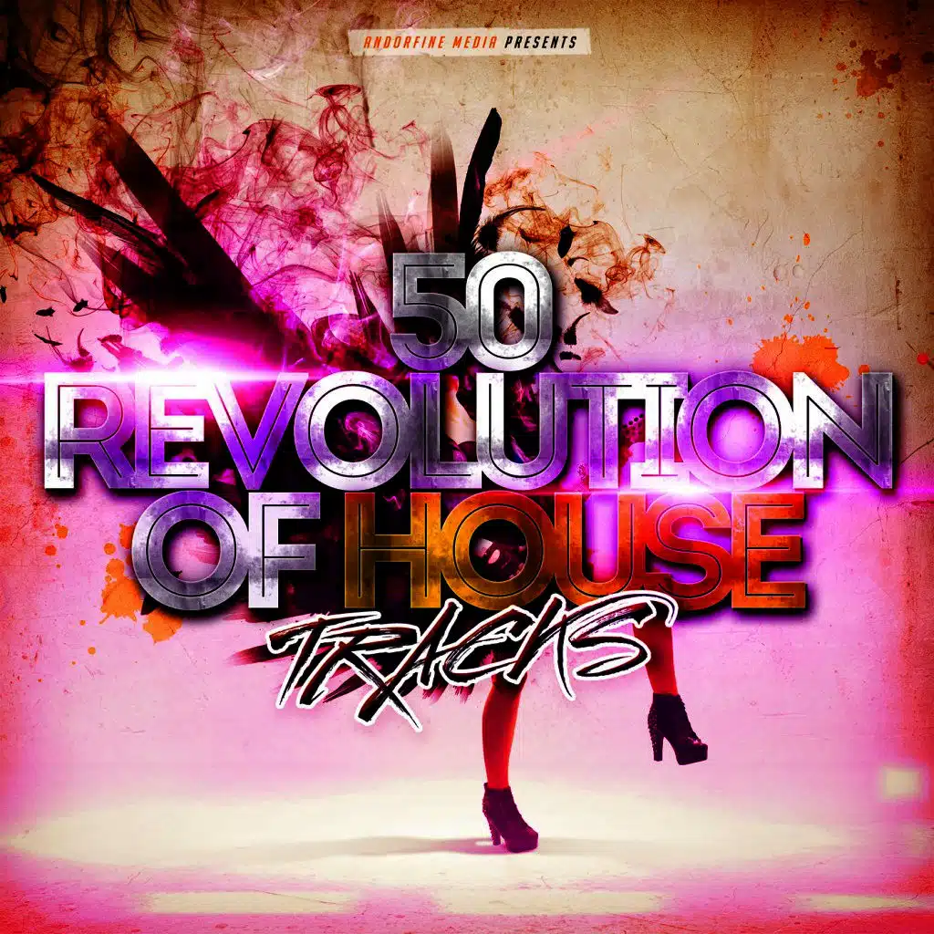 50 Revolution of House Tracks