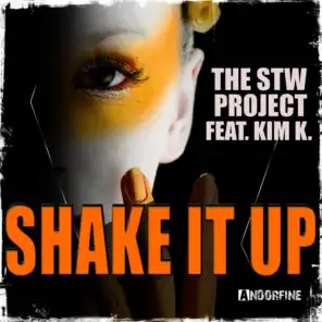 Shake It Up (Radio Edit)