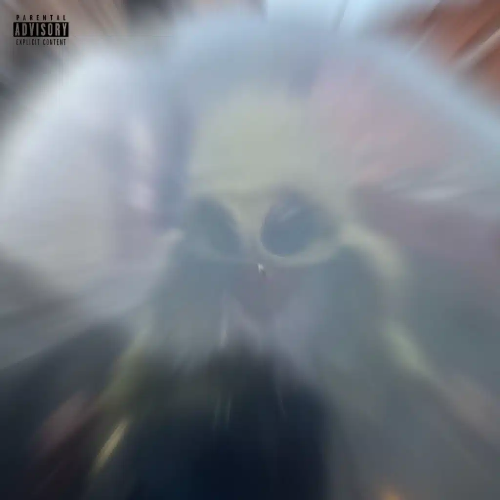 DIM FL0W
