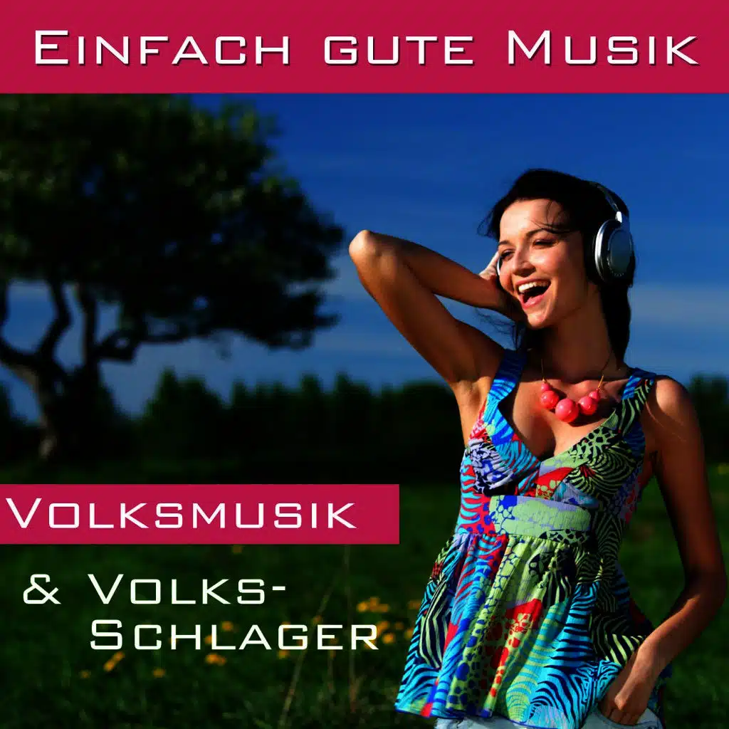 5 Scheiben Leberkäs