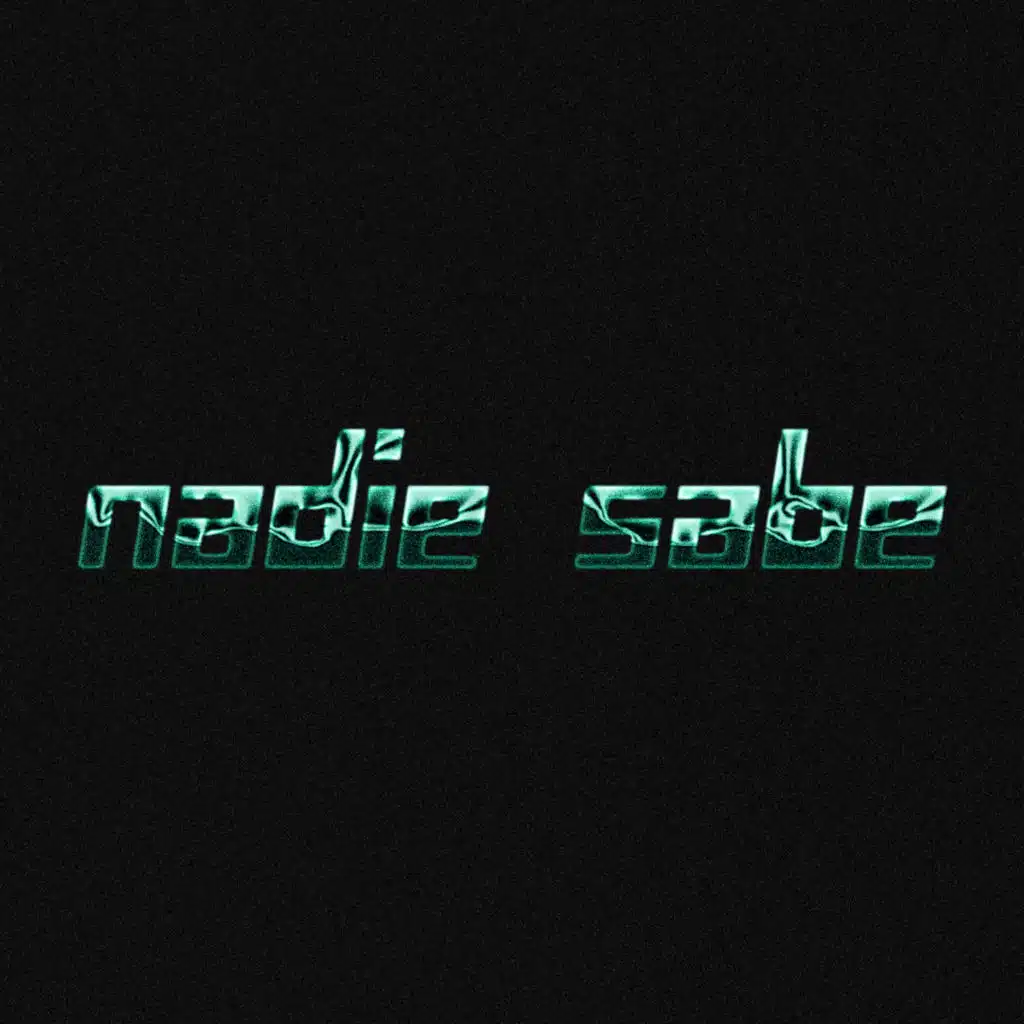 Nadie Sabe