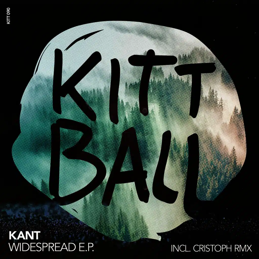 Mesmerized (Christoph Remix)