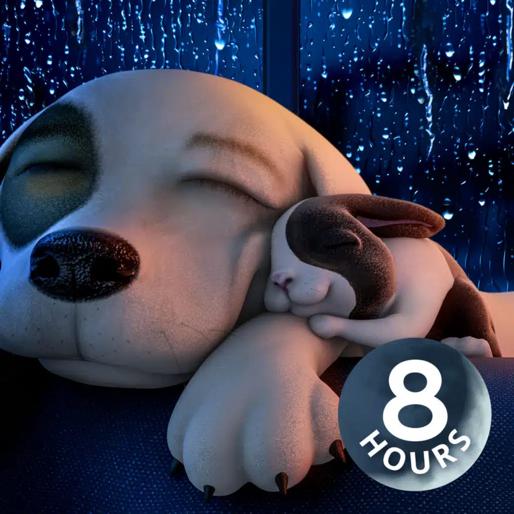 Does Your Dog Have Separation Anxiety? Calm Your Dog with 8-Hour Relaxing Rain Noise