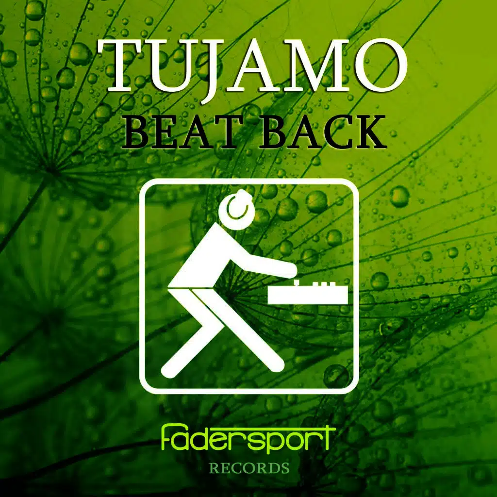 Beat Back (Crazy Flute Mix)