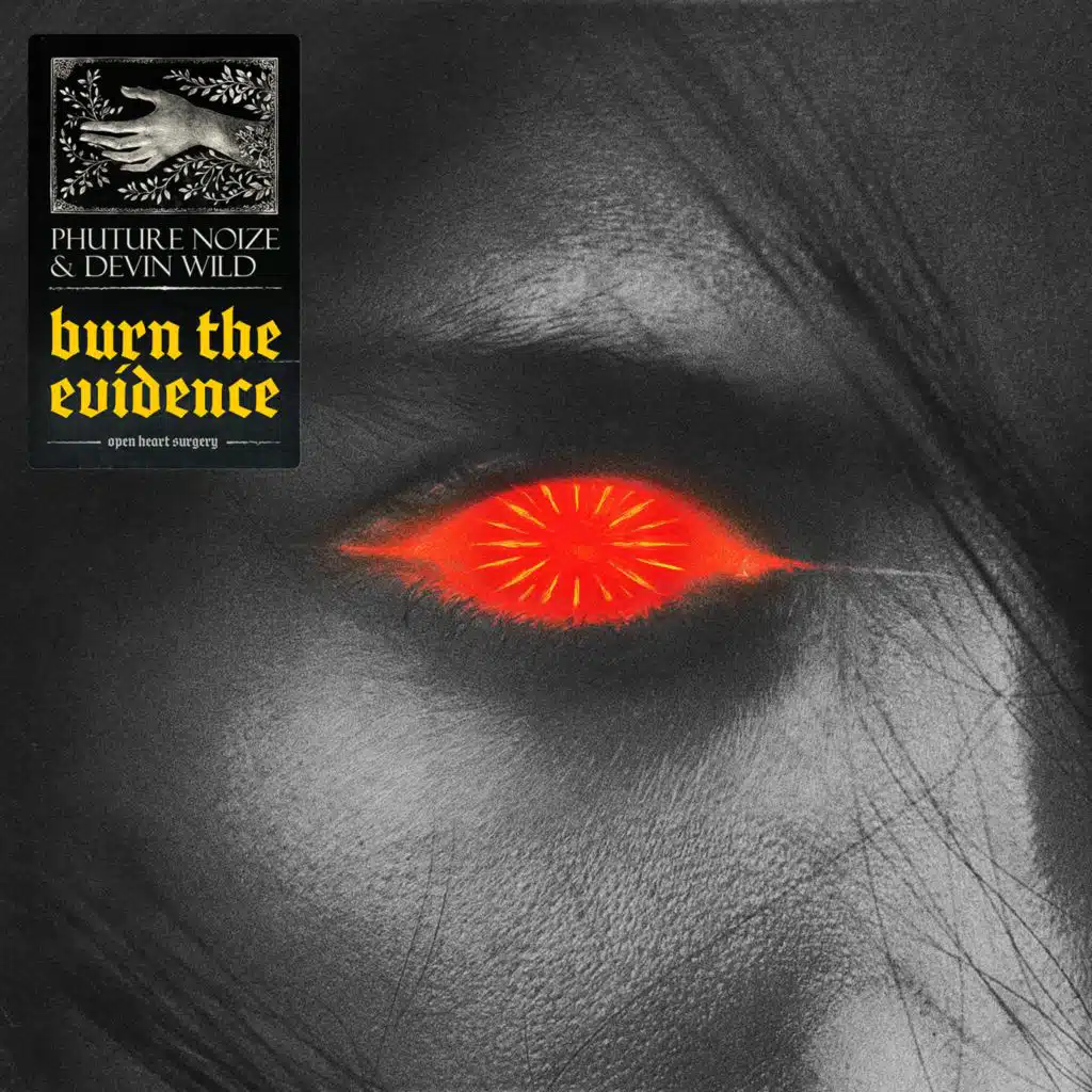 Phuture Noize & Devin Wild