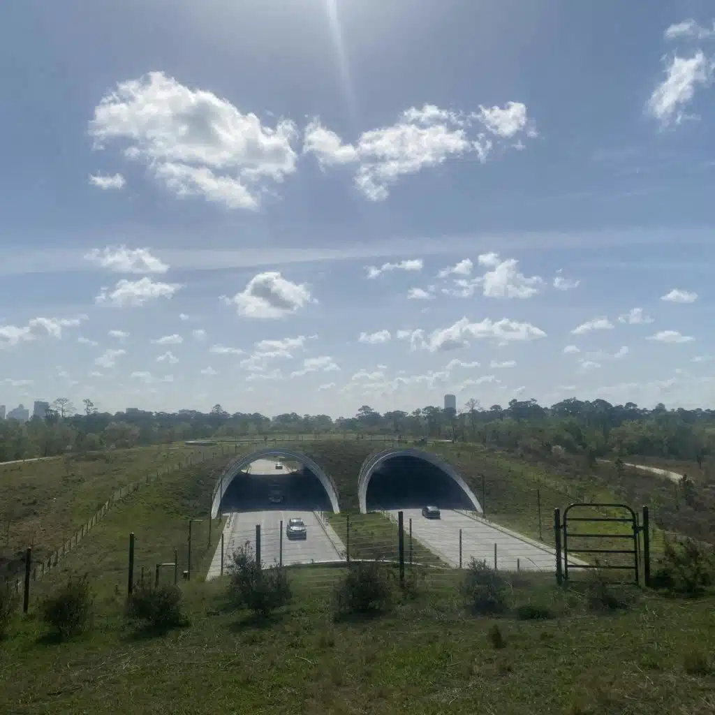 Why Elon Musk Wants $760 Million To Dig Tunnels Under Houston