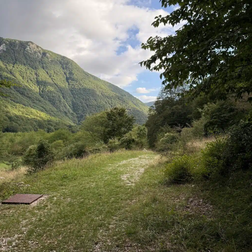 QUESTA DOMENICA - OLLY