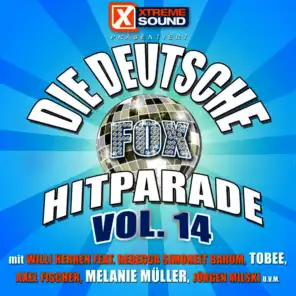 Die deutsche Fox Hitparade, Vol. 14