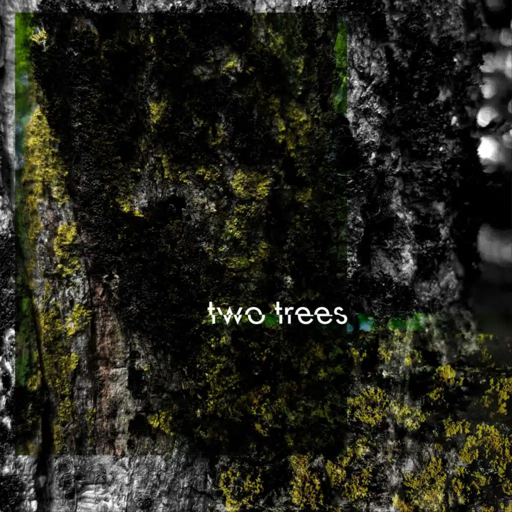 Two Trees