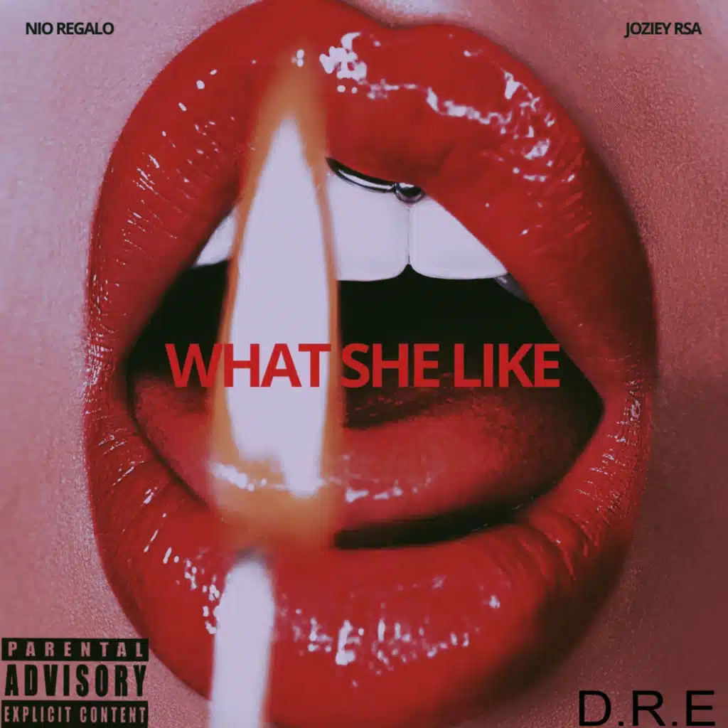 What She Like (feat. D.R.E & Joziey Rsa)