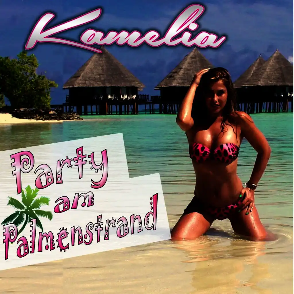 Party am Palmenstrand (DJ Mega Mix)