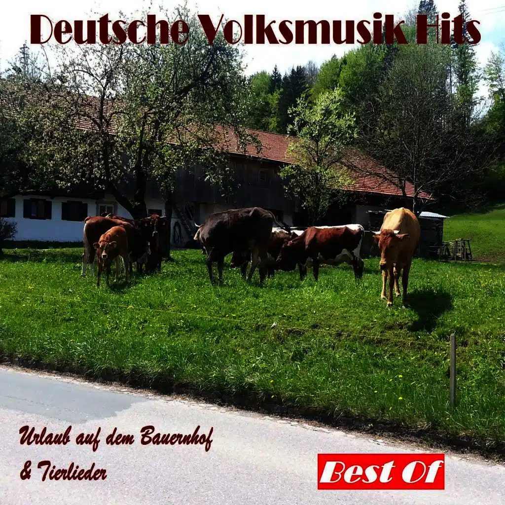 Deutsche Volksmusik Hits: Urlaub auf dem Bauernhof & Tierlieder - Best Of
