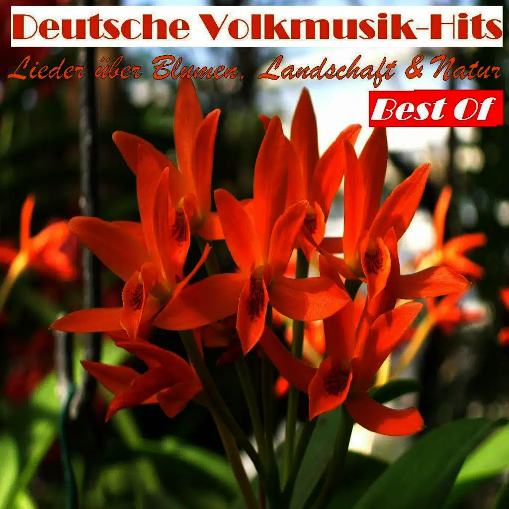 Deutsche Volksmusik Hits: Lieder über Blumen, Landschaft & Natur - Best Of