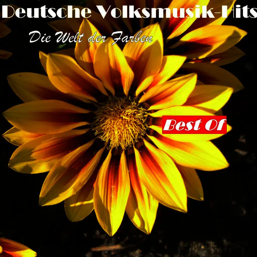 Deutsche Volksmusik Hits:Die Welt der Farben - Best Of