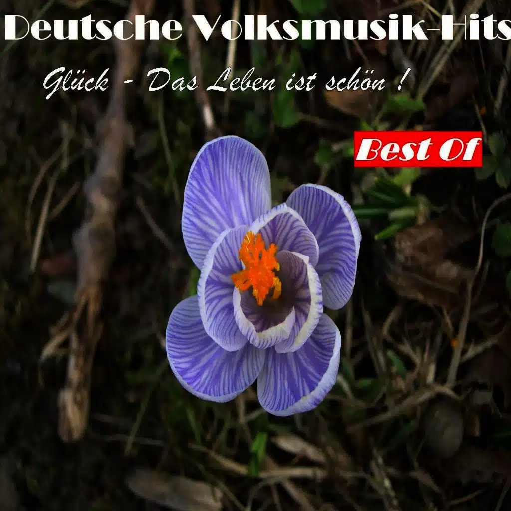 Deutsche Volksmusik Hits: Glück - Das Leben ist schön! - Best Of
