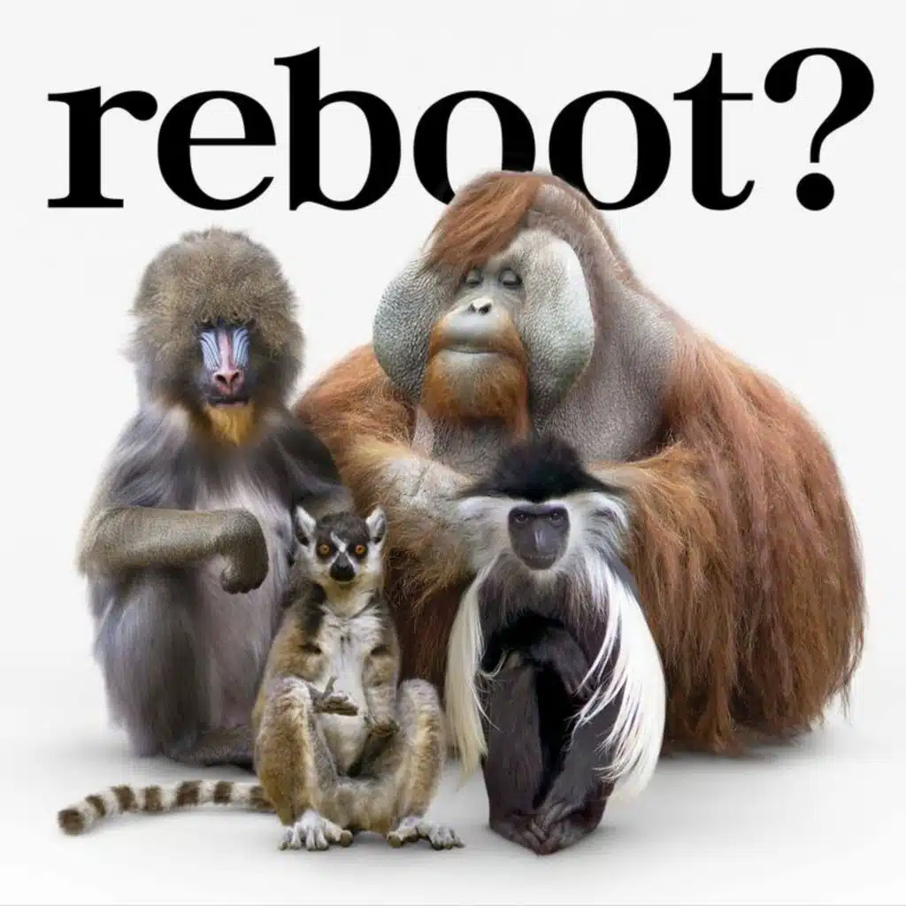 Calling (Live at C.C.Lemon Hall)