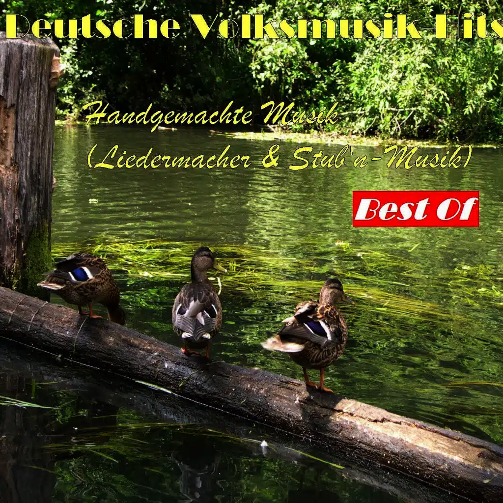 Deutsche Volksmusik Hits: Handgemachte Musik - Best Of