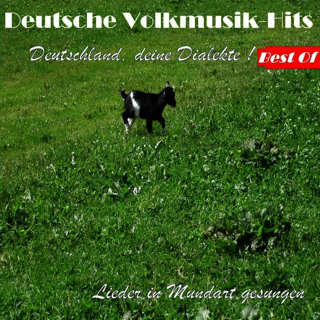 Deutsche Volksmusik Hits: Deutschland, deine Dialekte - Best Of