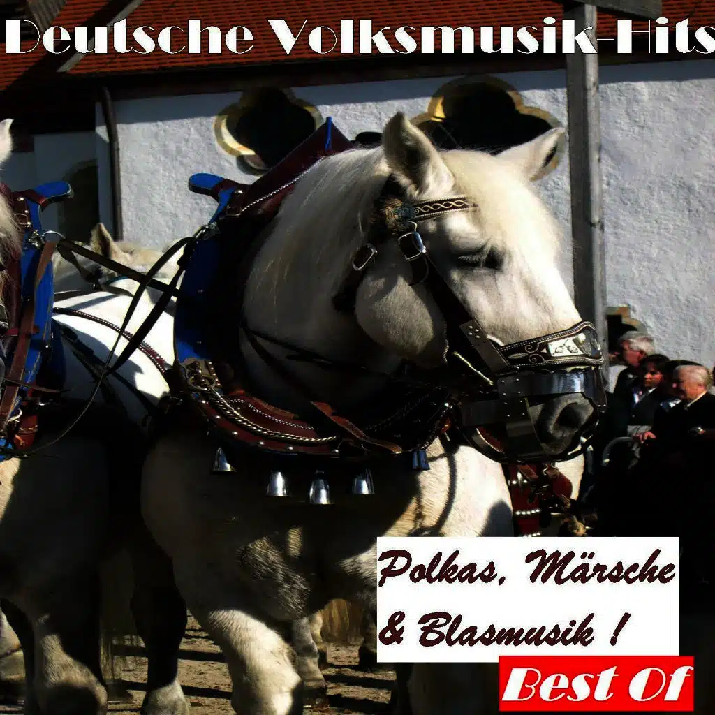 Deutsche Volksmusik Hits: Polkas, Märsche & Blasmusik! - Best Of