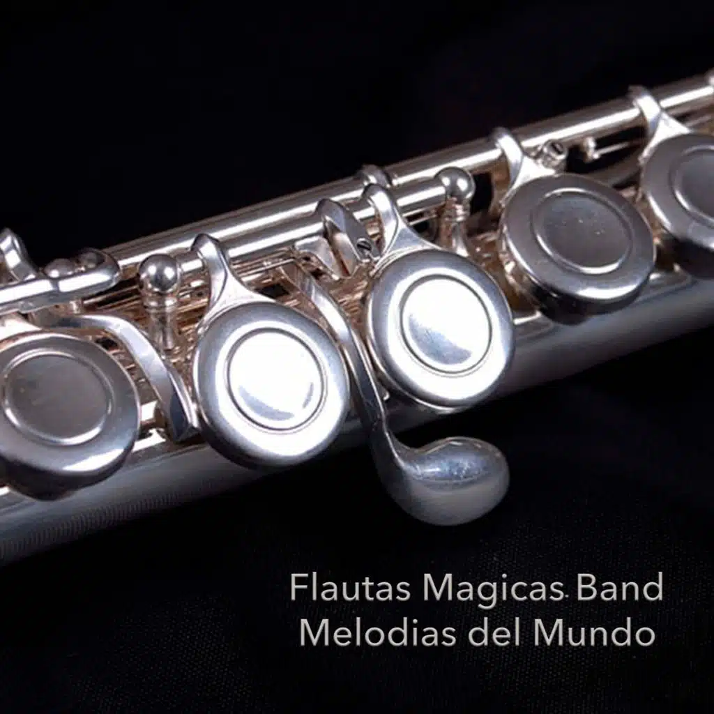 Flautas Magicas Band