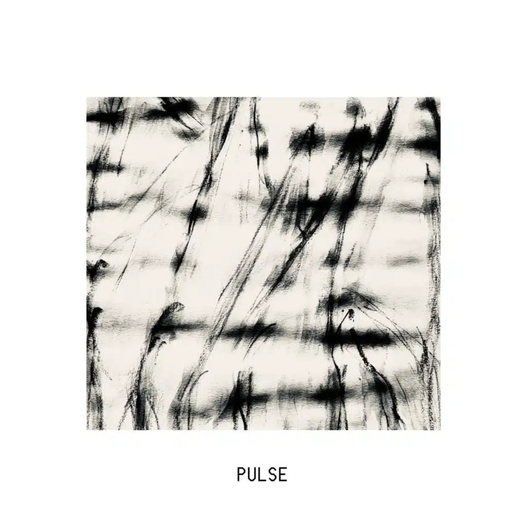 Alex Nickmann & Stereoport