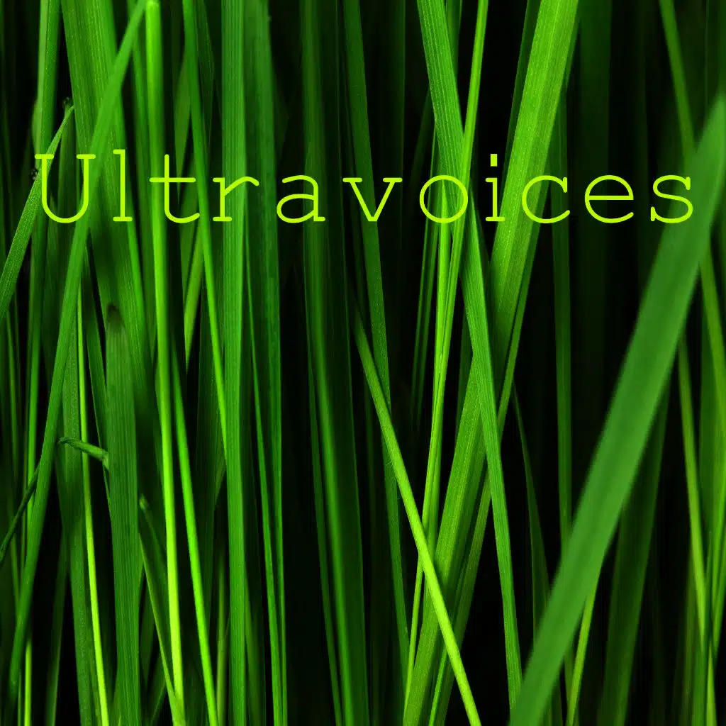Ultra Voices