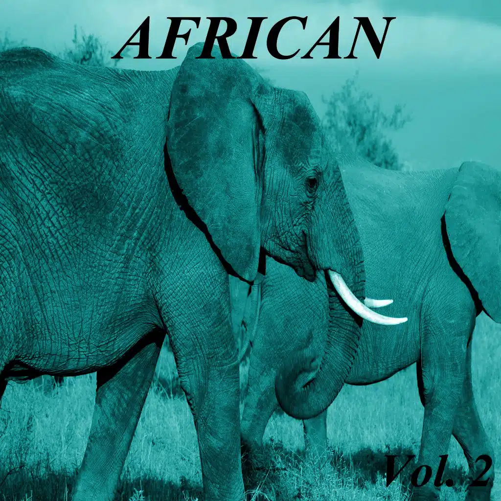 African, Vol. 2