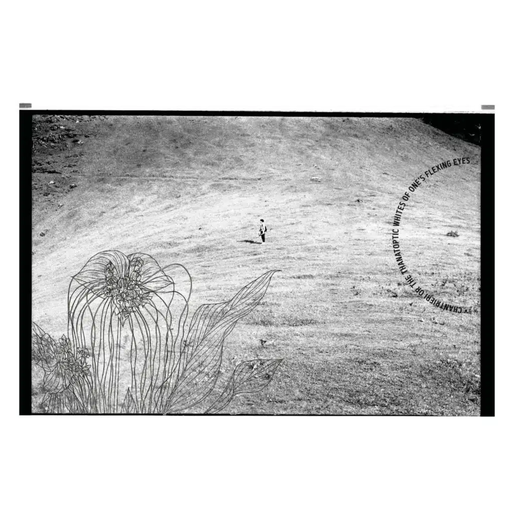 Chantrieri or the Thanatoptic Whites of One’s Flexing Eyes