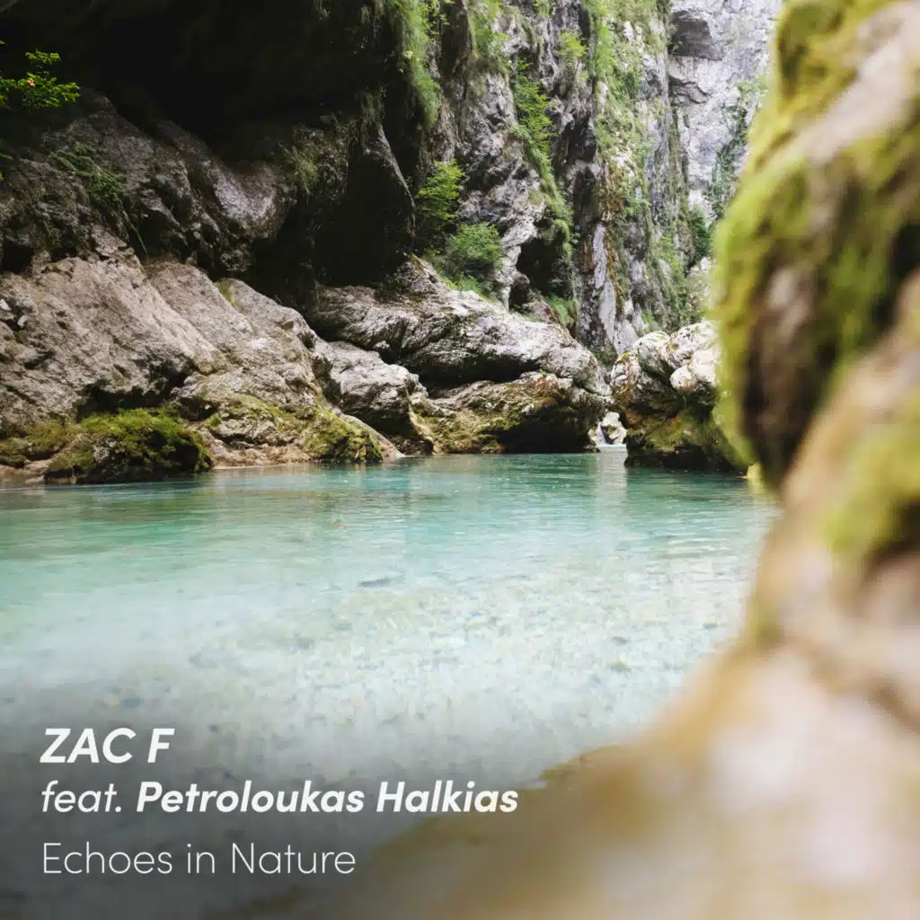 Zac F, Petroloukas Halkias & Meditelectro