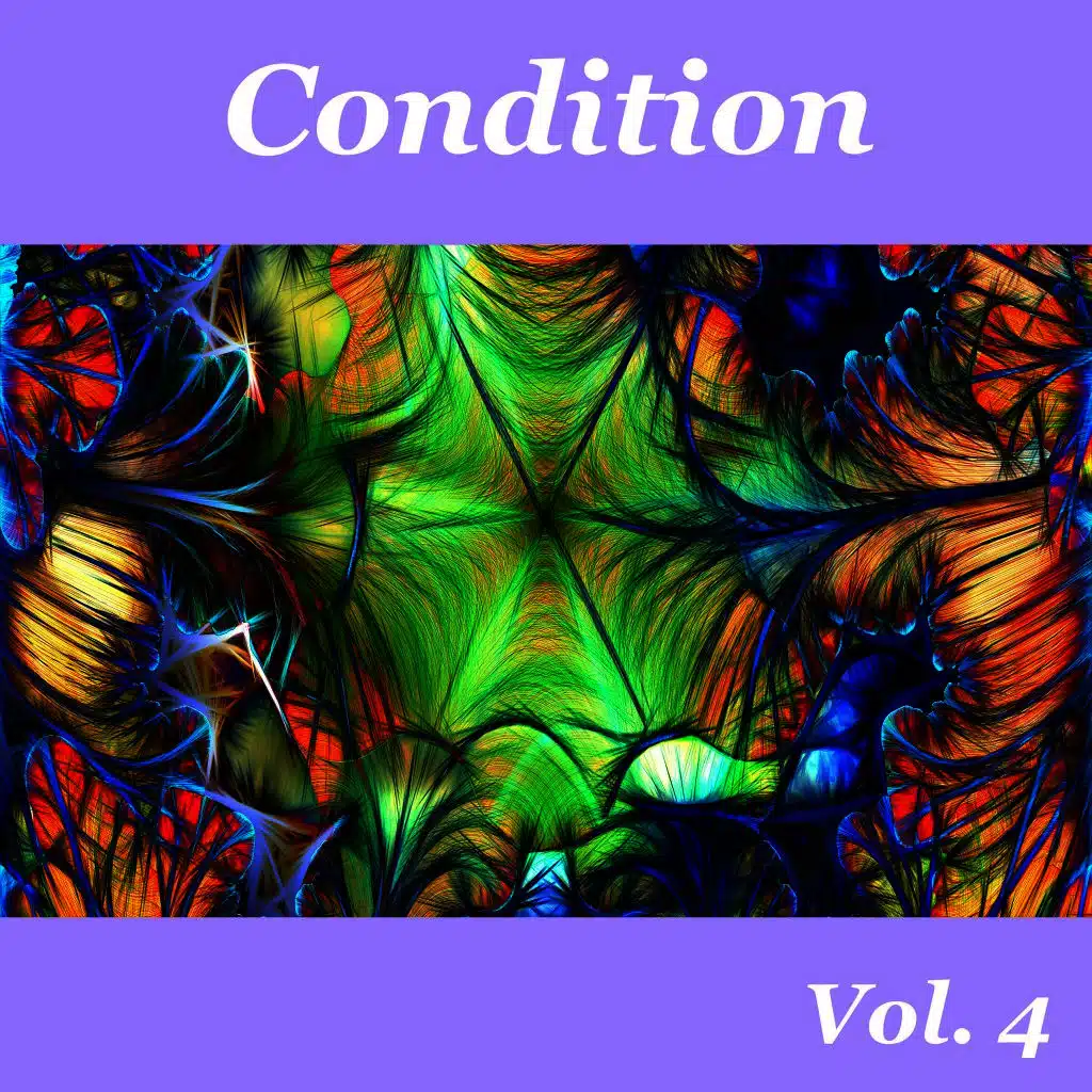 Condition, Vol. 4