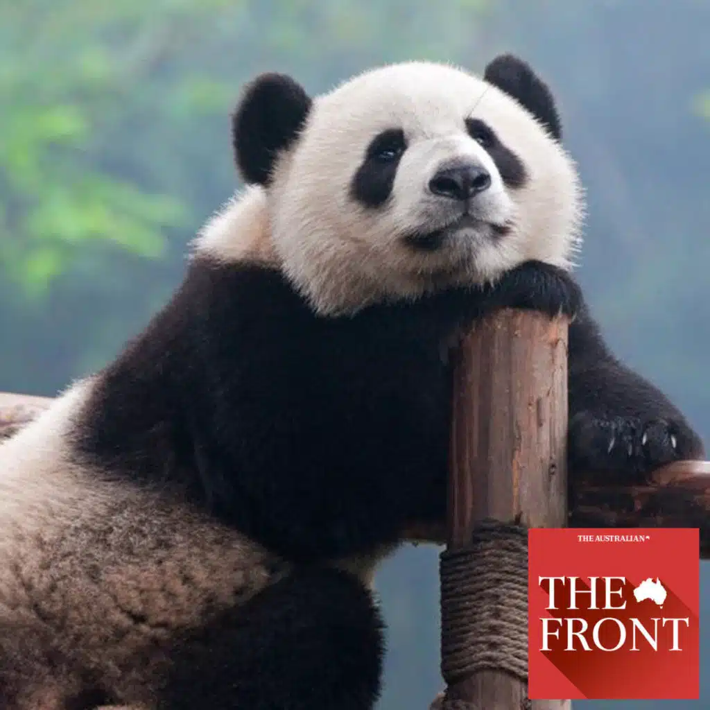 What's with Jacinta Allan's China charm offensive?