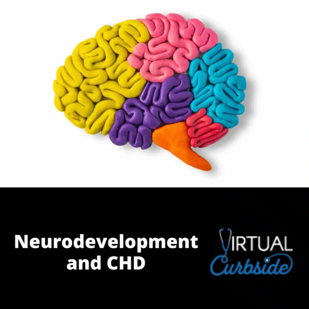 Episode 349: #81-3 Neurodevelopment & CHD: Role of PCP in Comprehensive Neurodevelopmental Care