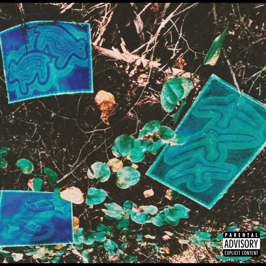 NATURE BOYZ: The Hiker's Guide (Preluxe)