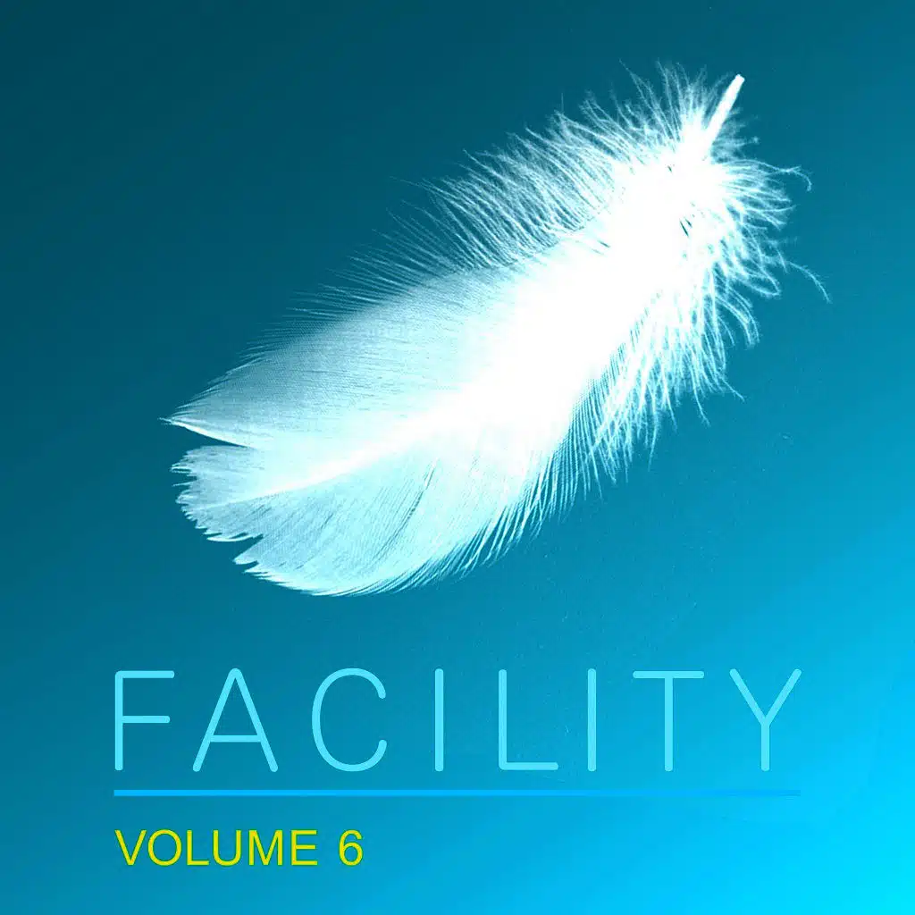 Facility, Vol. 6