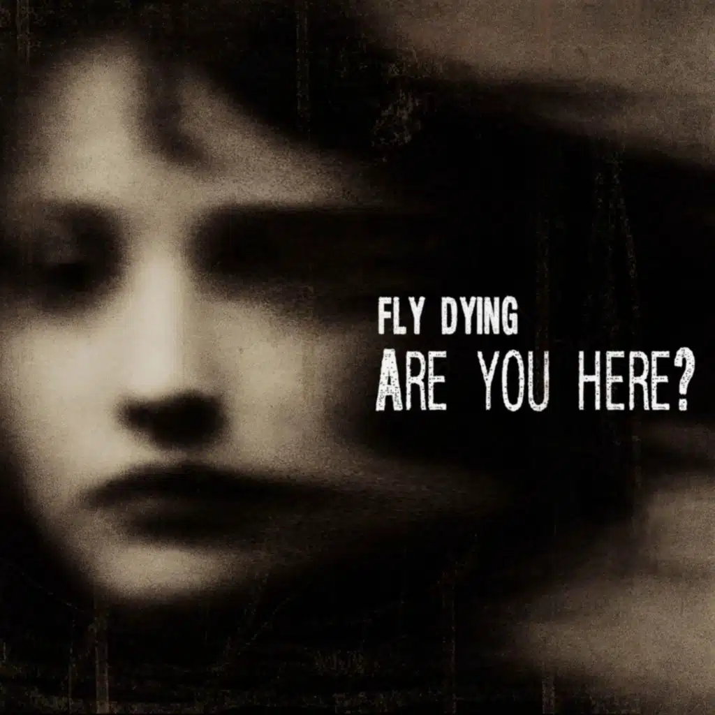 Fly Dying