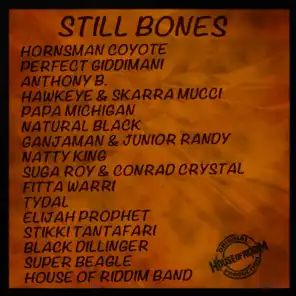 Still Bones Selection