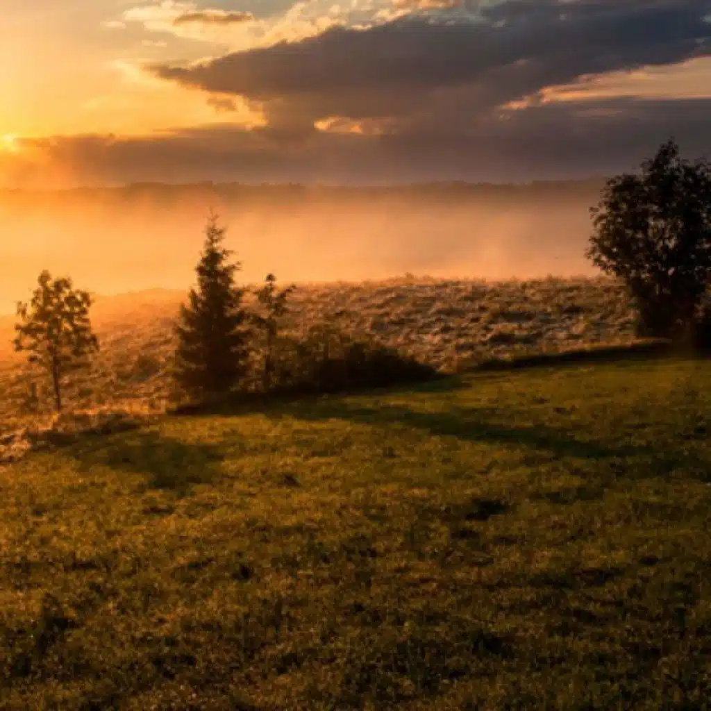 « Jeune homme, je te l’ordonne, lève-toi » (Lc 7, 11-17)