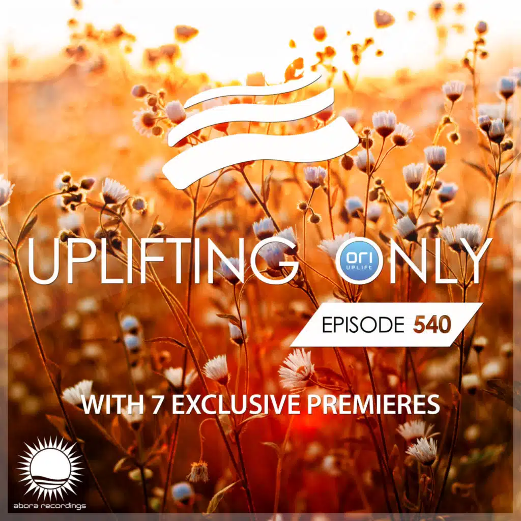 Roman Messer, Gid Sedgwick & Christopher Corrigan