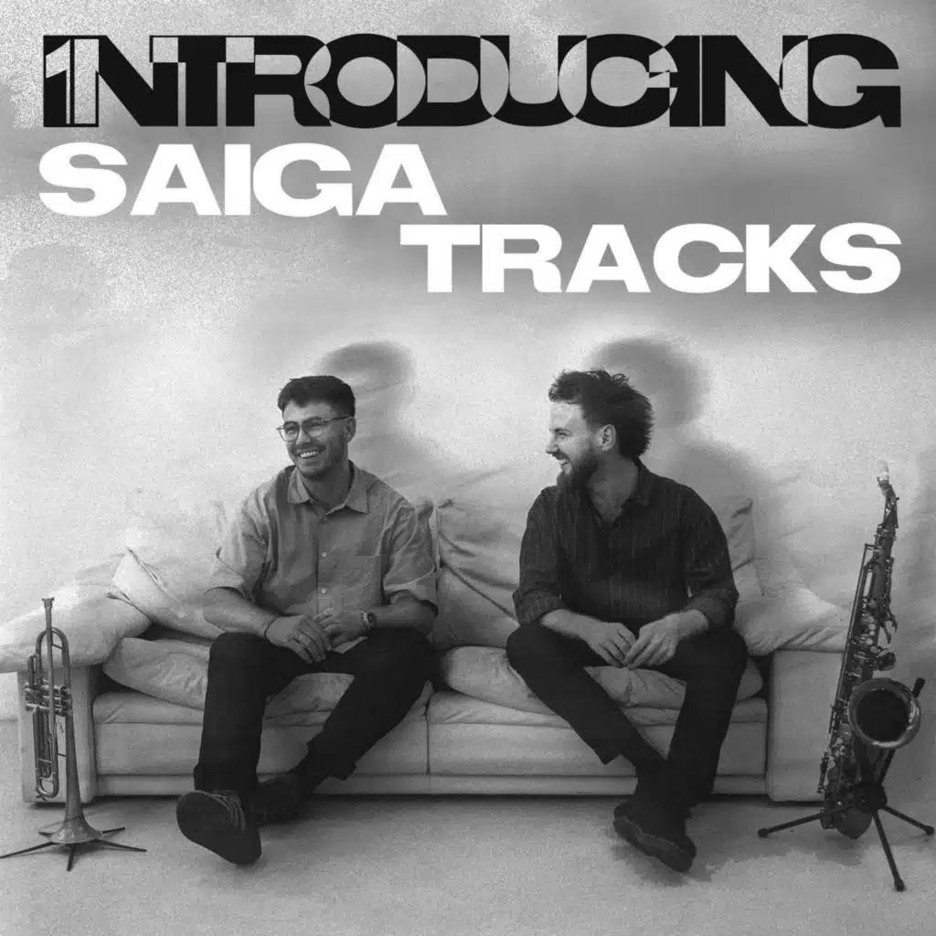 Introducing Saiga Tracks