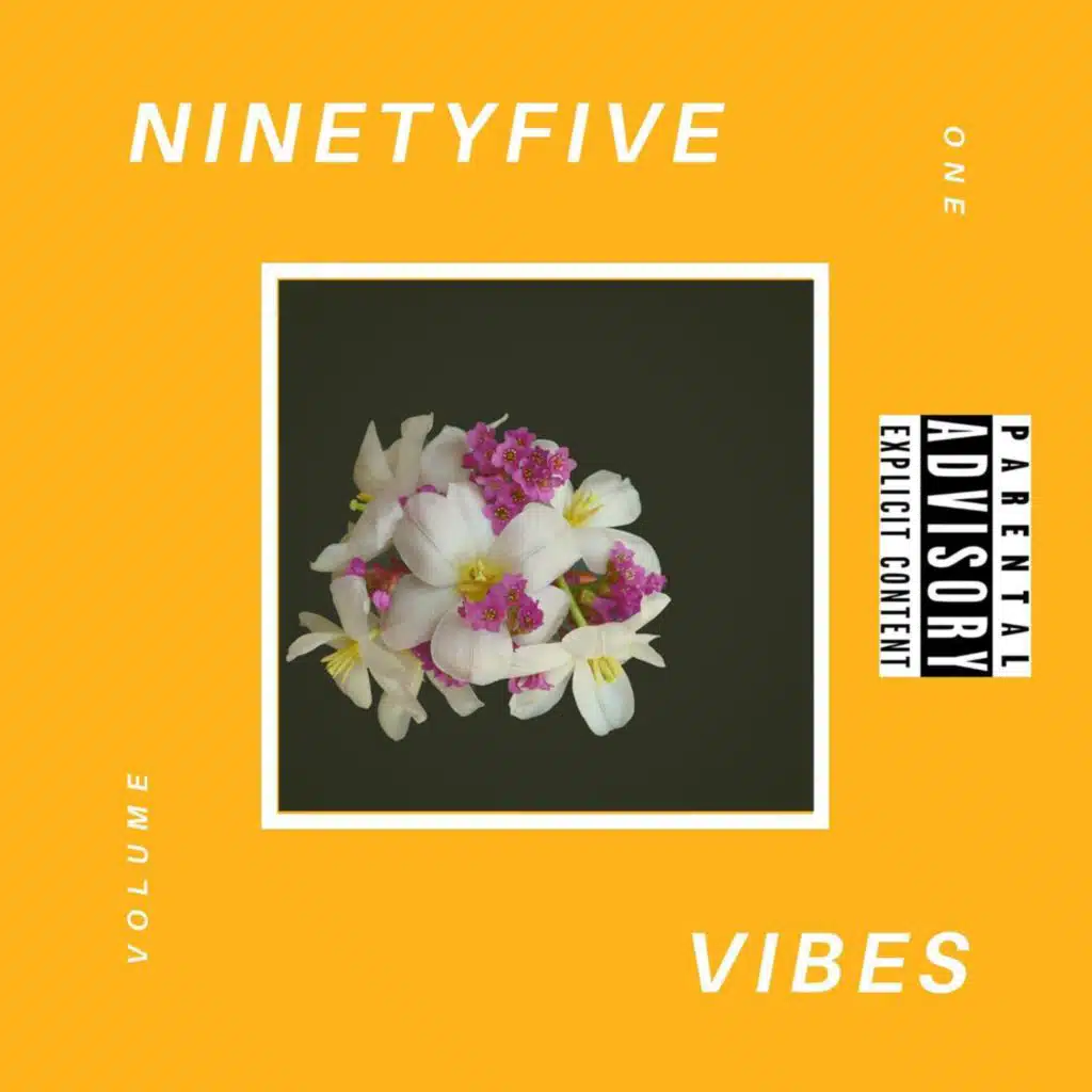 NINETYFIVEVIBES VOL 1