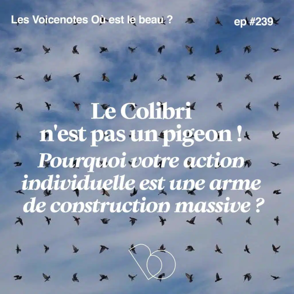 #239 - Le Colibri n'est pas un pigeon : pourquoi votre action individuelle est une arme de construction massive ?  [ Voice Note Gratuite ]